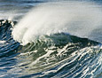 Shoreline : Waves 100-178-5